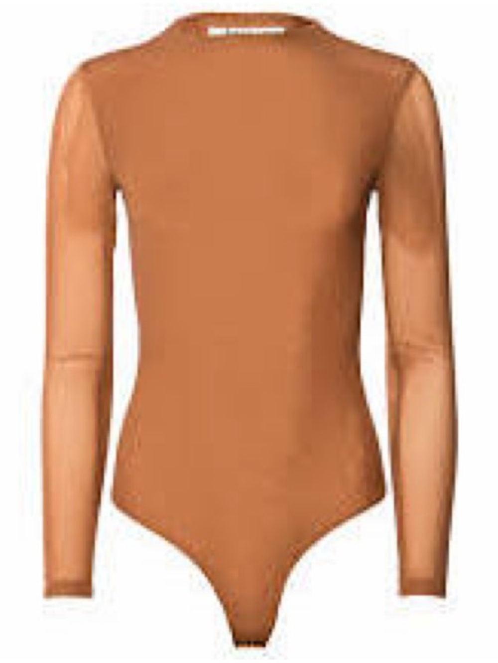 AKIRA Paxton Sexy Mesh Bodysuit in Caramel Brown